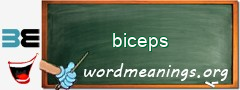 WordMeaning blackboard for biceps